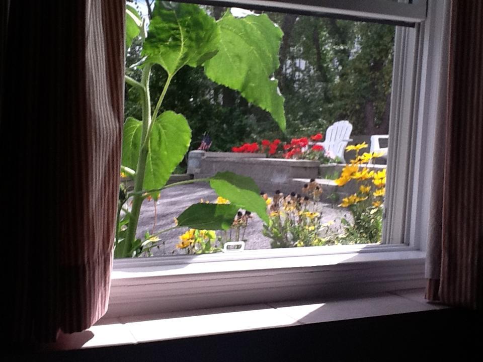 Josephine'S On The Bay Bed And Breakfast ハル エクステリア 写真